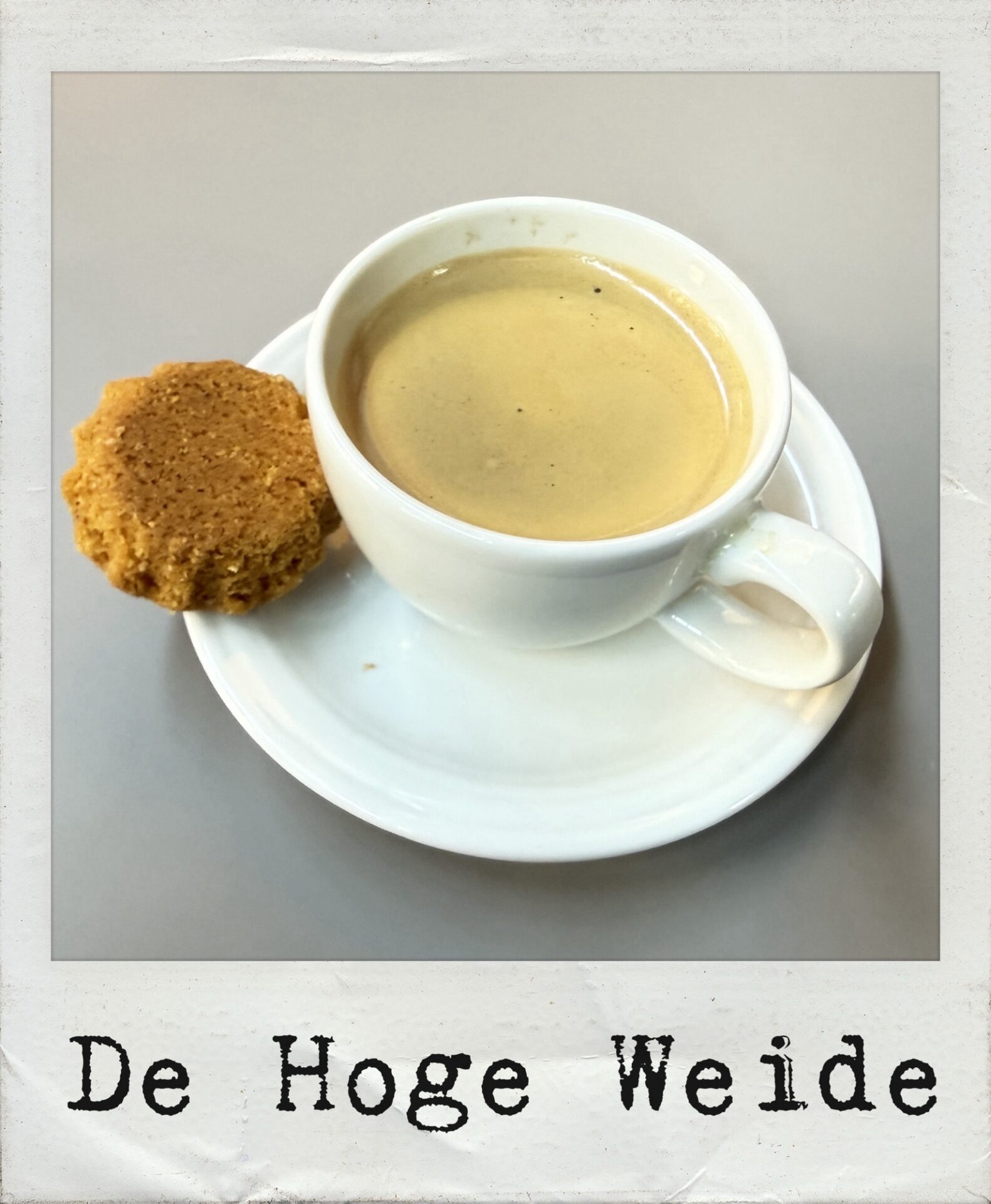 De hoge weide